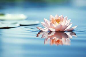 A floating lotus flower on the calm surface of a pond symbolizes the potential for transformation and spiritual growth through the practice of meditation and mindfulness. AI Generative photo