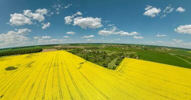 transformation with rotation of landscape into tiny planet rapeseed field in blue sky with clouds. curvature of space. video