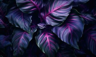 Tropical leaves wallpaper. Colorful neon abstract foliage background. For postcard, book illustration. Created with generative AI tools photo