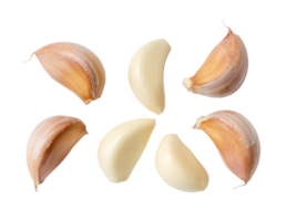 Top view of fresh garlic clove set in separation isolated with clipping path in png file format. helpful garlic cloves collection