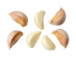 Top view of fresh garlic clove set in separation isolated on white background with clipping path. helpful garlic cloves collection photo