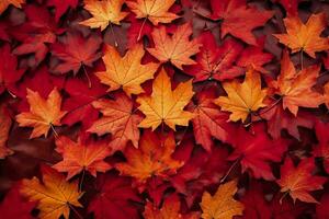 Wine red autumn leaves texture, fall nature background,  AI Generative photo