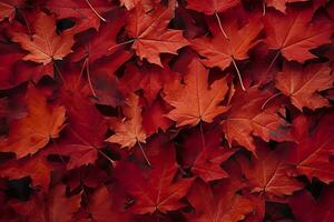 Wine red autumn leaves texture, fall nature background,  AI Generative photo