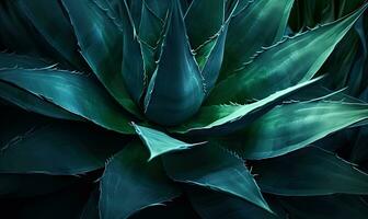 Tropical succulents wallpaper. Textured blue agave banner. For postcard, book illustration. Created with generative AI tools photo