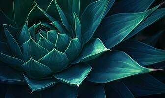 Tropical succulents wallpaper. Textured blue agave banner. For postcard, book illustration. Created with generative AI tools photo