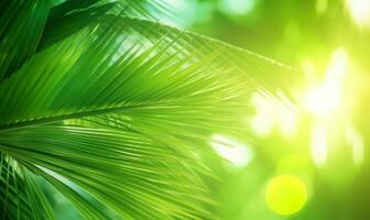 Palm leaves wallpaper. Sunny tropical background. For banner, postcard, book illustration. Created with generative AI tools photo