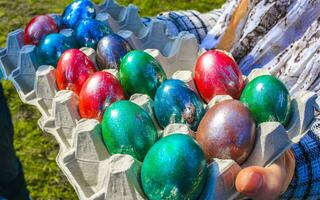 Colorful Easter eggs in egg shell in hands in Netherlands. photo