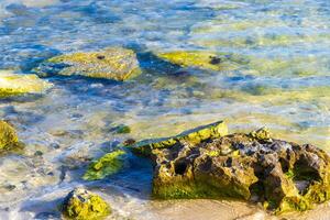 Stones rocks corals turquoise green blue water on beach Mexico. photo