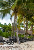 Palapa thatched roofs palms parasols sun loungers beach resort Mexico. photo