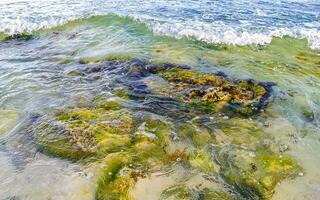 Stones rocks corals turquoise green blue water on beach Mexico. photo