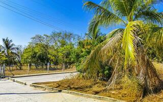 Typical beautiful colorful tourist street sidewalk city Puerto Escondido Mexico. photo