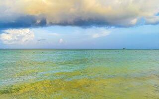 playa tropical mexicana agua turquesa clara playa del carmen mexico. foto