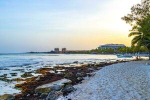 Stones rocks corals with seagrass in water on beach Mexico. photo