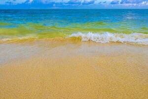 Waves at tropical beach caribbean sea clear turquoise water Mexico. photo