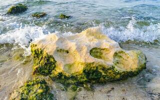 piedras rocas corales turquesa verde azul agua playa mexico. foto