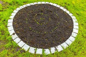 Garden with round beds soil young sprouts plants in Germany. photo