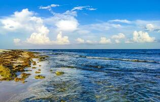 Stones rocks corals turquoise green blue water on beach Mexico. photo