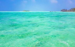 Natural tropical turquoise sandbank islands Madivaru Finolhu Rasdhoo Atoll Maldives. photo