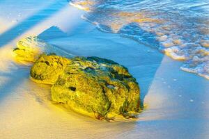 Stones rocks corals turquoise green blue water on beach Mexico. photo