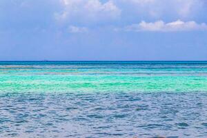 playa tropical mexicana agua turquesa clara playa del carmen mexico. foto