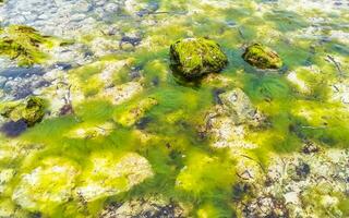 Stones rocks corals turquoise green blue water on beach Mexico. photo