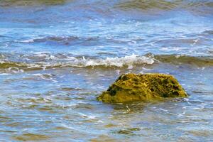 Stones rocks corals turquoise green blue water on beach Mexico. photo