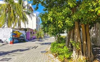 playa del carmen quintana roo mexico 2021 tipica calle peatonal paisaje urbano pinturas murales playa del carmen mexico. foto