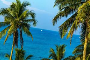 Beautiful tropical palm trees turquoise blue sea Mirissa Beach Sri Lanka. photo