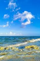 Stones rocks corals turquoise green blue water on beach Mexico. photo