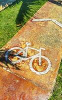 bicicleta símbolo firmar en suelo de un bicicleta carril México. foto