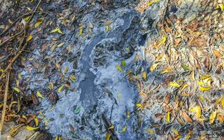 Open sewerage system in the tropical jungle mountains Mexico. photo