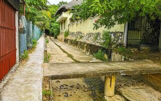 Open sewerage system in the tropical jungle mountains Mexico. photo