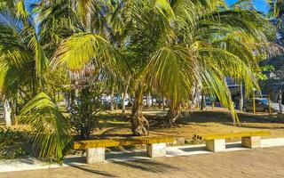 Typical beautiful colorful tourist street sidewalk city Puerto Escondido Mexico. photo