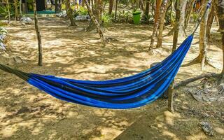 Colorful hammocks in Mexican tropical jungle forest in Tulum Mexico. photo