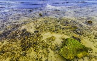 piedras rocas corales turquesa verde azul agua playa mexico. foto