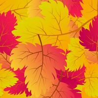 Autumn seamless background with maple colorful leaves. Design for fall season posters, wrapping papers and holidays decorations. Vector illustration