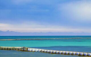 algas marinas sargazo red caribe playa agua playa del carmen México. foto