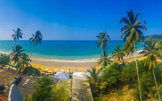 hermosa paraíso tropical playa olas palmas mirissa playa sri lanka. foto
