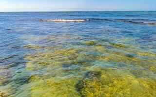 Stones rocks corals turquoise green blue water on beach Mexico. photo