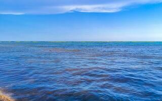 Tropical mexican beach clear turquoise water Playa del Carmen Mexico. photo