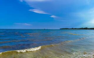 Tropical mexican beach clear turquoise water Playa del Carmen Mexico. photo