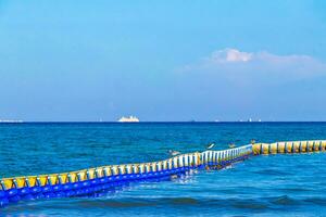 Seaweed Sargazo net caribbean beach water Playa del Carmen Mexico. photo