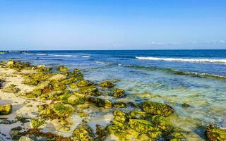 piedras rocas corales turquesa verde azul agua playa mexico. foto