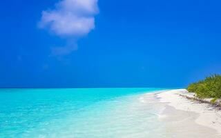 Natural tropical turquoise sandbank islands Madivaru Finolhu Rasdhoo Atoll Maldives. photo