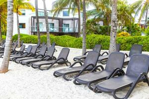 Palapa thatched roofs palms parasols sun loungers beach resort Mexico. photo