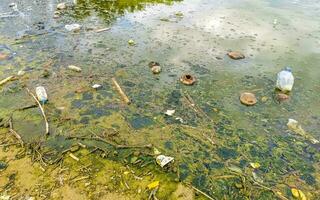 Dirty green polluted and garbage river in Puerto Escondido Mexico. photo