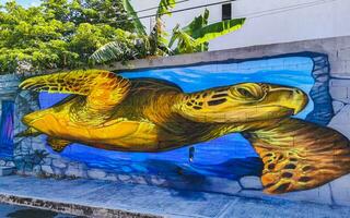 Playa del Carmen Quintana Roo Mexico 2021 Artistic walls with turtle paintings graffiti Playa del Carmen Mexico. photo