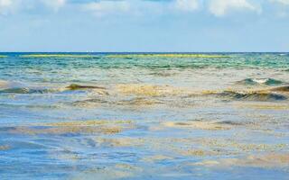 Tropical mexican beach clear turquoise water Playa del Carmen Mexico. photo