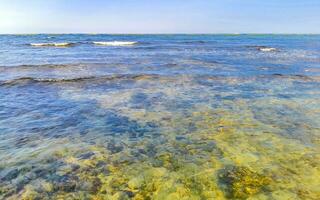 Stones rocks corals turquoise green blue water on beach Mexico. photo