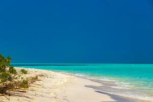 Natural tropical turquoise sandbank islands Madivaru Finolhu Rasdhoo Atoll Maldives. photo